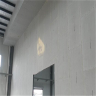 灵丘新型建筑材料掺多种工业废渣的ALC|ACC|FPS模块板材轻质隔墙板
